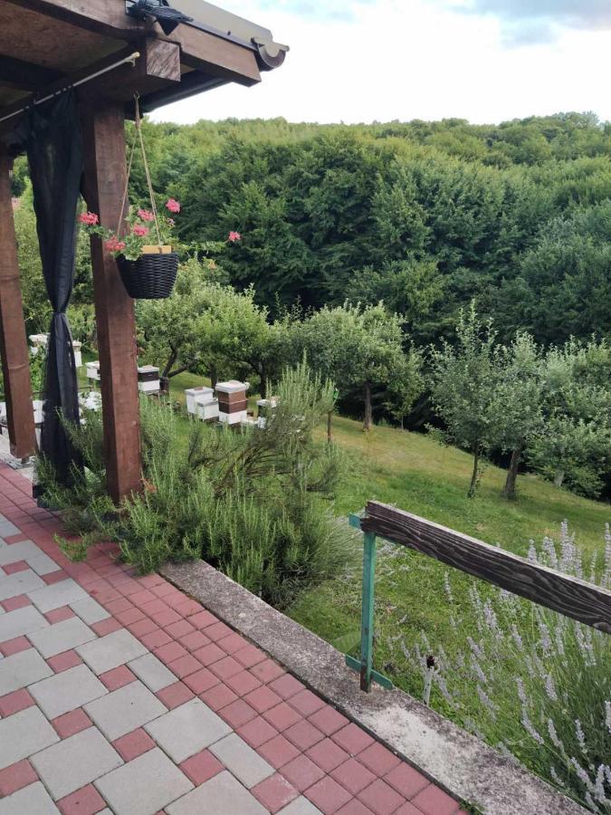 Guest House Bee 维索科 外观 照片