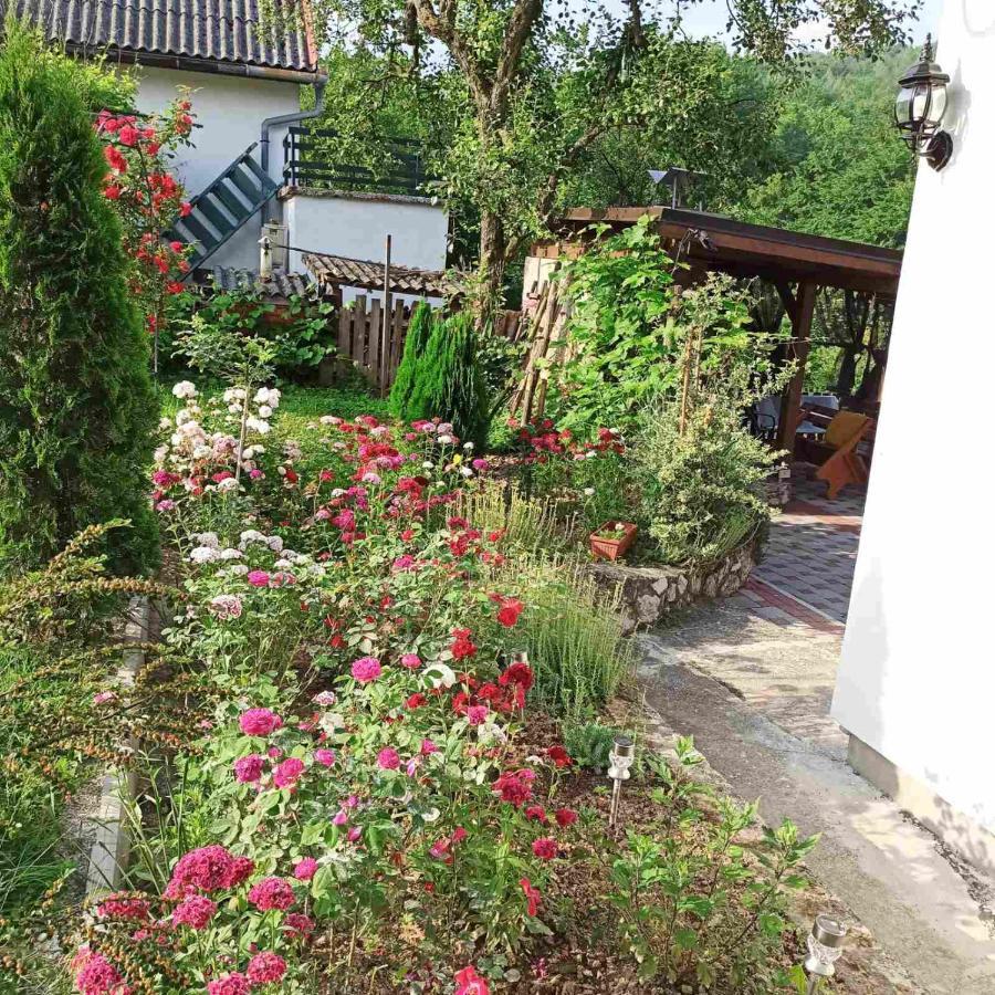 Guest House Bee 维索科 外观 照片