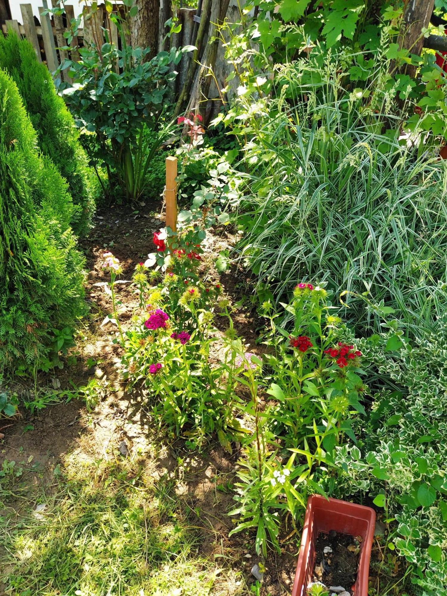 Guest House Bee 维索科 外观 照片