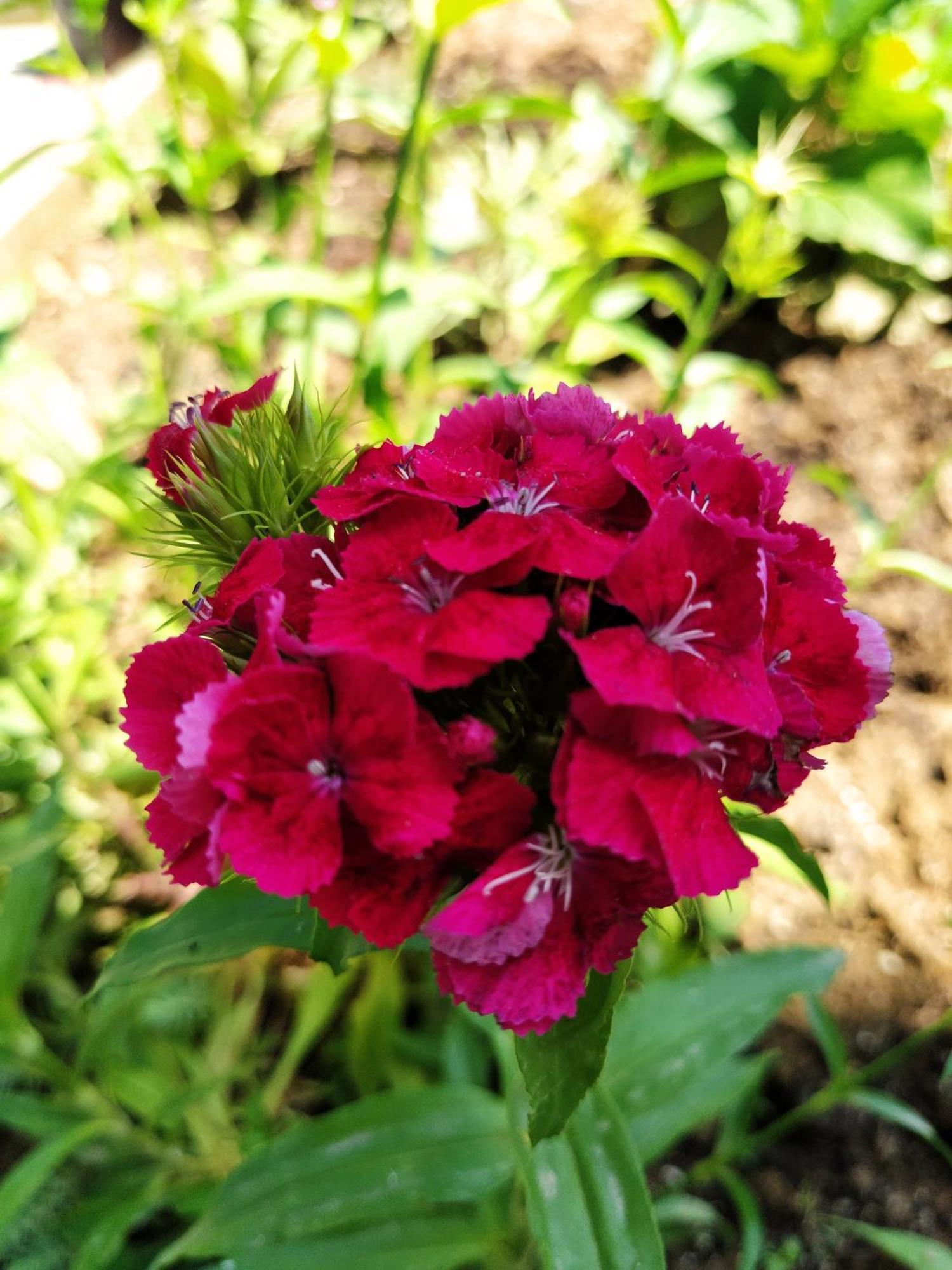Guest House Bee 维索科 外观 照片